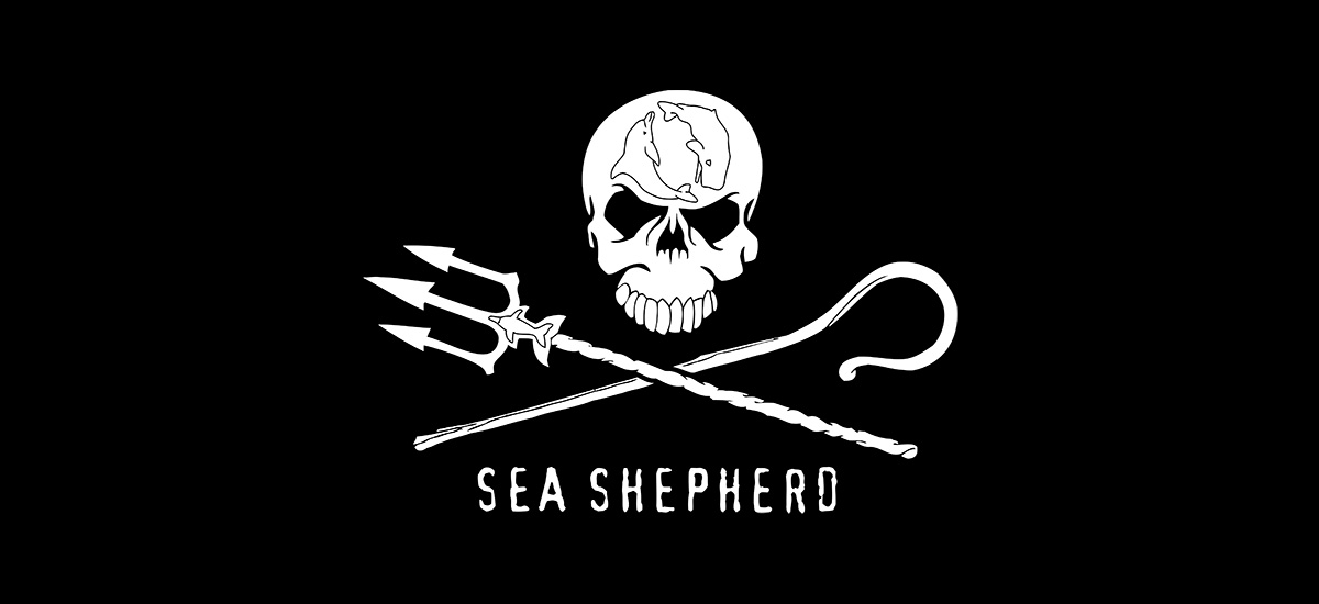 Communiquer et se vendre différemment : Sea Sheperd